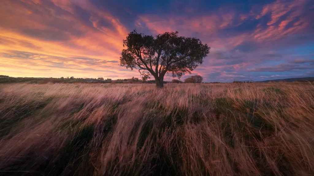 William Patino Photography Complete Pack