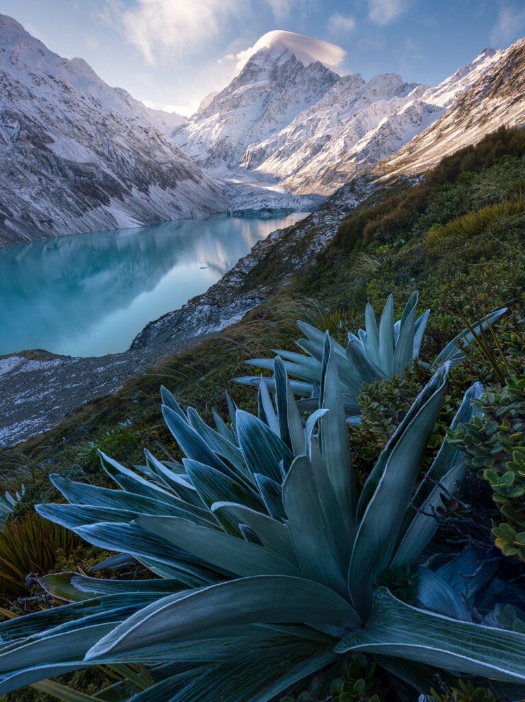 Listing cover image