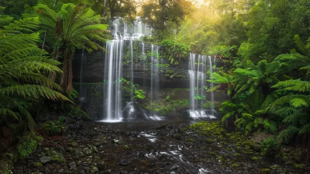 Tasmania Photo tour with Brett Wood